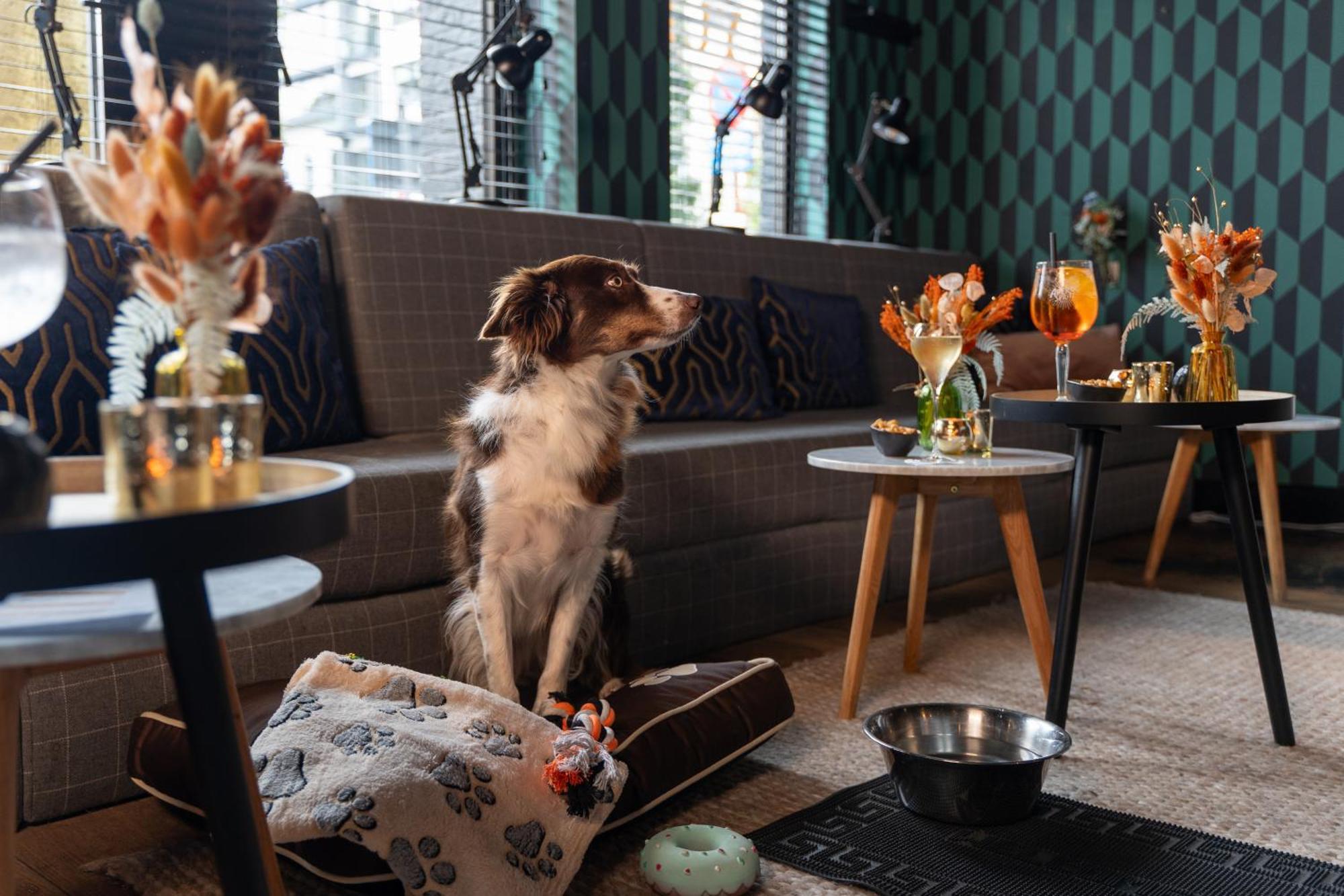 Ibis Styles Hasselt City Centre Eksteriør billede