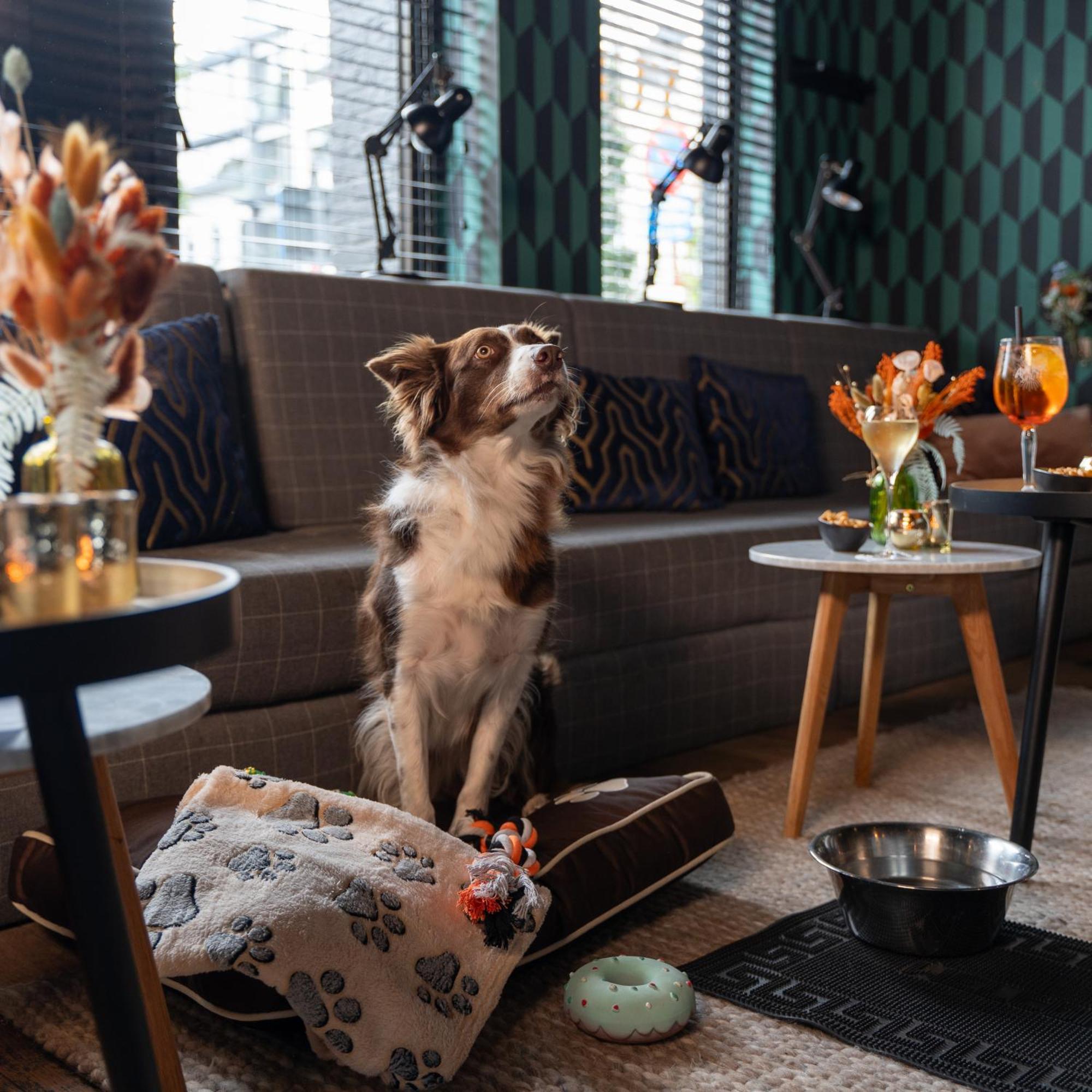 Ibis Styles Hasselt City Centre Eksteriør billede